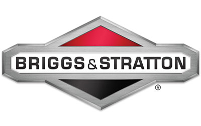 Запчасти к бензиновому двигателю Briggs&Stratton